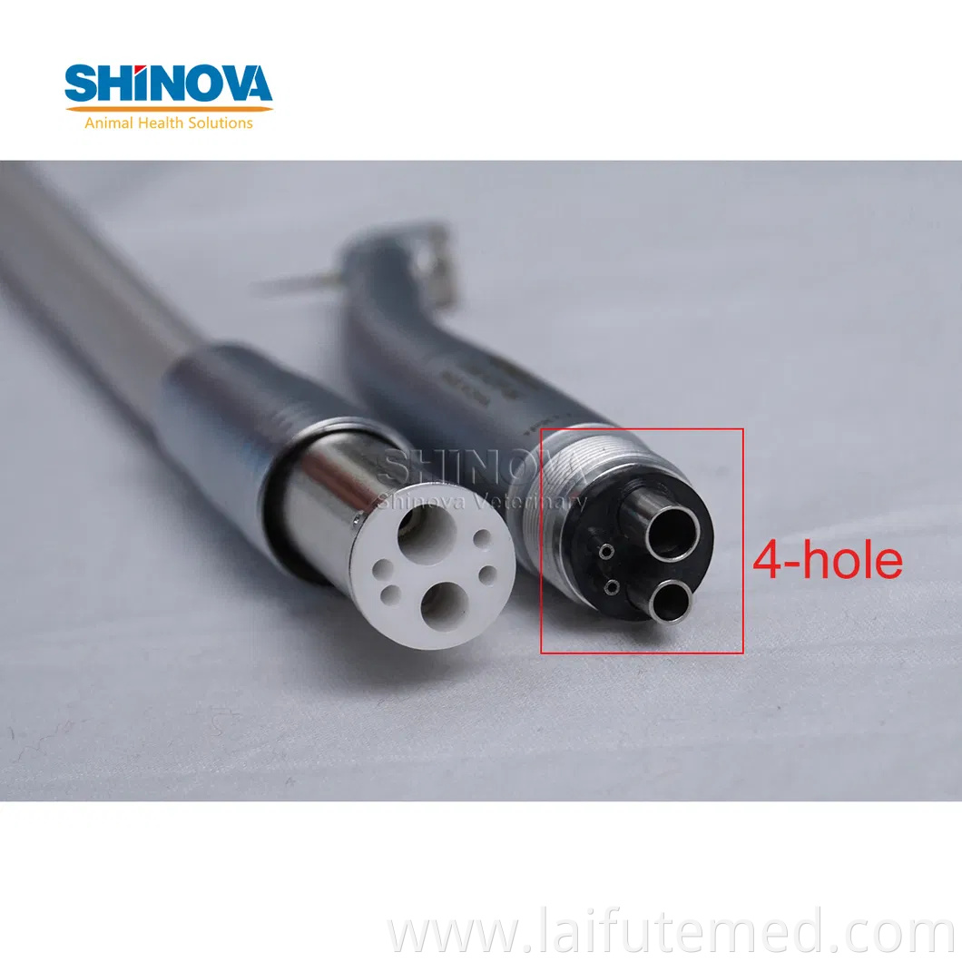 Dentistry Equipment Portable Dental Unit Dental Treatment Pd-893